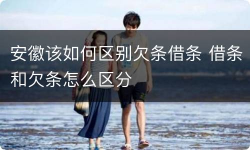 安徽该如何区别欠条借条 借条和欠条怎么区分