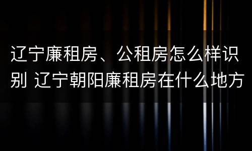 辽宁廉租房、公租房怎么样识别 辽宁朝阳廉租房在什么地方