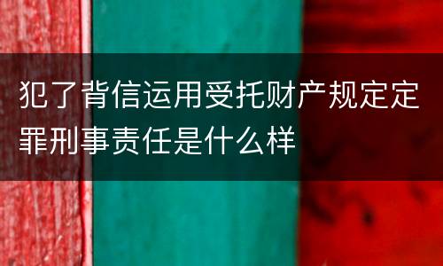 犯了背信运用受托财产规定定罪刑事责任是什么样