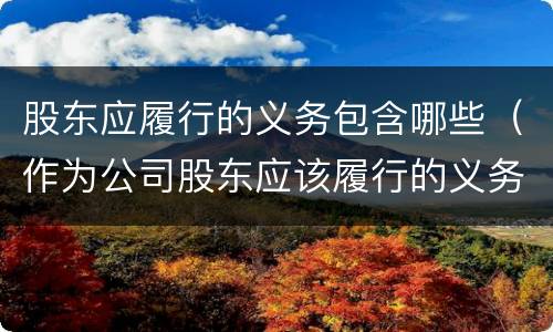 股东应履行的义务包含哪些（作为公司股东应该履行的义务）