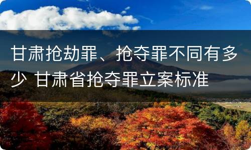 甘肃抢劫罪、抢夺罪不同有多少 甘肃省抢夺罪立案标准