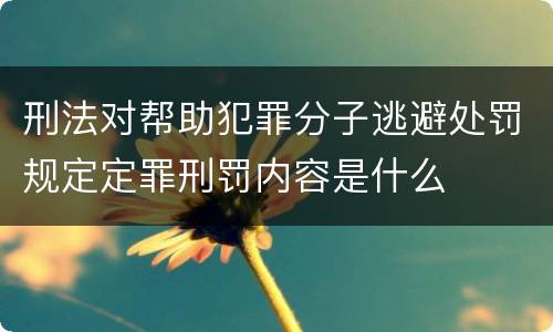 刑法对帮助犯罪分子逃避处罚规定定罪刑罚内容是什么