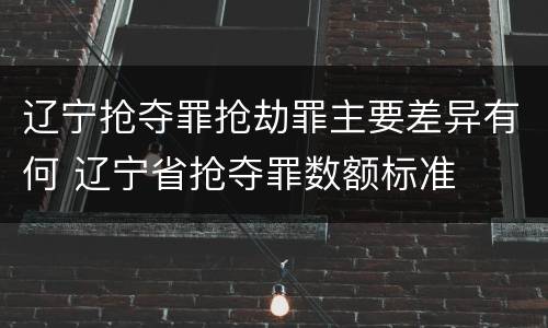辽宁抢夺罪抢劫罪主要差异有何 辽宁省抢夺罪数额标准