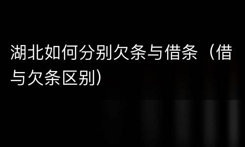 湖北如何分别欠条与借条（借与欠条区别）