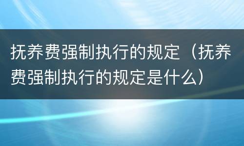抚养费强制执行的规定（抚养费强制执行的规定是什么）