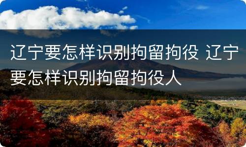 辽宁要怎样识别拘留拘役 辽宁要怎样识别拘留拘役人