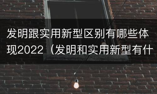 发明跟实用新型区别有哪些体现2022（发明和实用新型有什么区别）