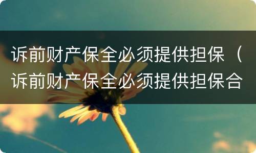 诉前财产保全必须提供担保（诉前财产保全必须提供担保合同吗）