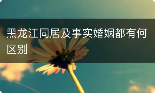 黑龙江同居及事实婚姻都有何区别