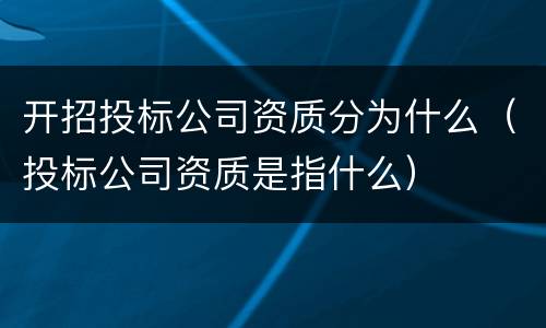 开招投标公司资质分为什么（投标公司资质是指什么）