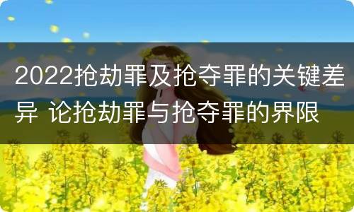 2022抢劫罪及抢夺罪的关键差异 论抢劫罪与抢夺罪的界限