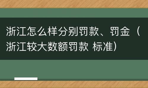 浙江怎么样分别罚款、罚金（浙江较大数额罚款 标准）