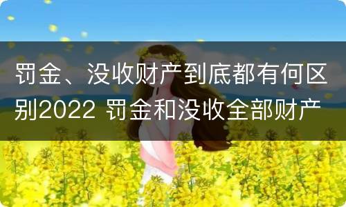 罚金、没收财产到底都有何区别2022 罚金和没收全部财产