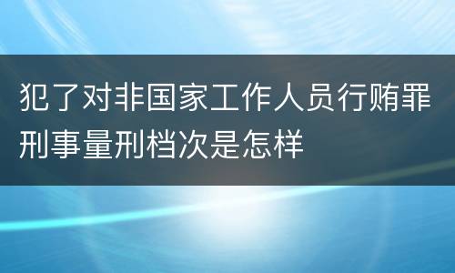 犯了对非国家工作人员行贿罪刑事量刑档次是怎样