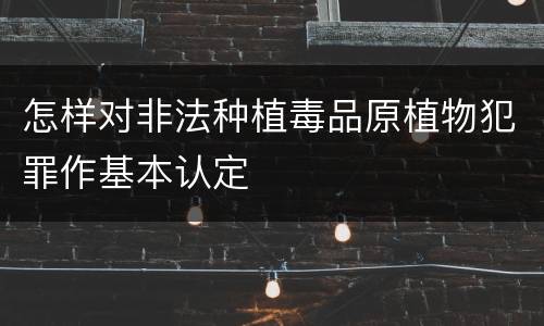 怎样对非法种植毒品原植物犯罪作基本认定