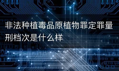 非法种植毒品原植物罪定罪量刑档次是什么样