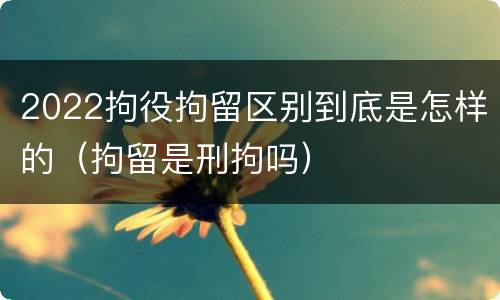 2022拘役拘留区别到底是怎样的（拘留是刑拘吗）