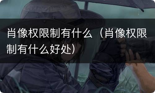 肖像权限制有什么（肖像权限制有什么好处）