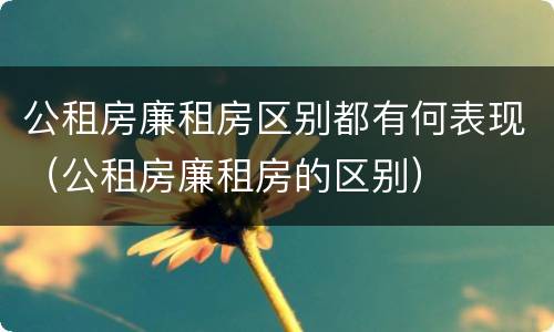 公租房廉租房区别都有何表现（公租房廉租房的区别）