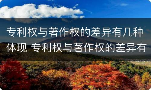专利权与著作权的差异有几种体现 专利权与著作权的差异有几种体现方式