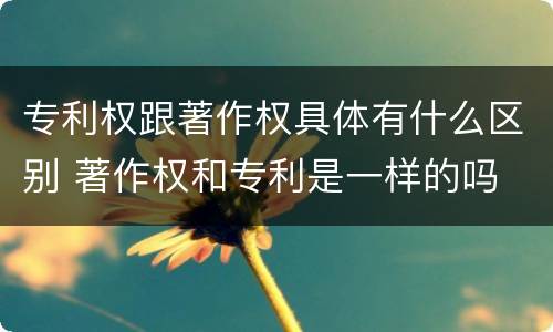 专利权跟著作权具体有什么区别 著作权和专利是一样的吗