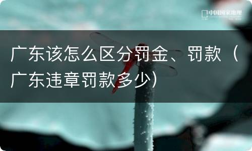 广东该怎么区分罚金、罚款（广东违章罚款多少）
