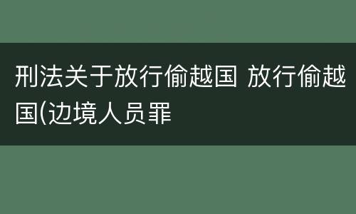 刑法关于放行偷越国 放行偷越国(边境人员罪