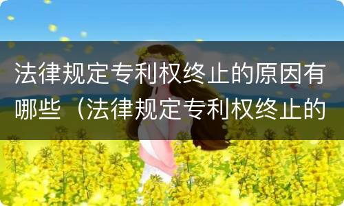 法律规定专利权终止的原因有哪些（法律规定专利权终止的原因有哪些内容）