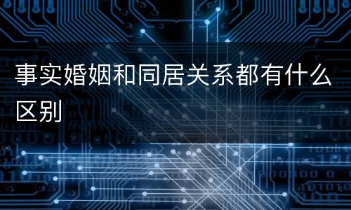 事实婚姻和同居关系都有什么区别