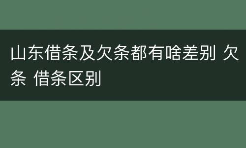 山东借条及欠条都有啥差别 欠条 借条区别