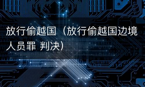 放行偷越国（放行偷越国边境人员罪 判决）