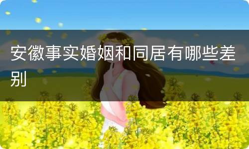 安徽事实婚姻和同居有哪些差别