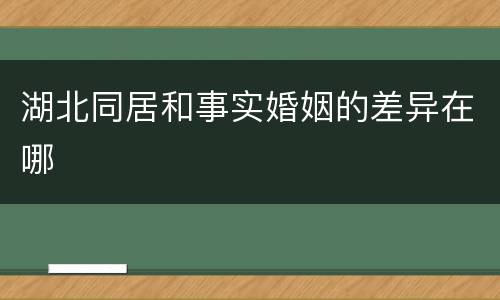 湖北同居和事实婚姻的差异在哪