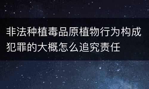 非法种植毒品原植物行为构成犯罪的大概怎么追究责任