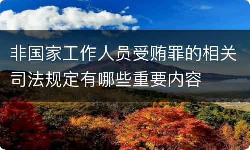 非国家工作人员受贿罪的相关司法规定有哪些重要内容