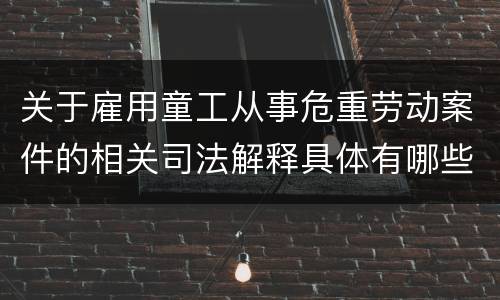 关于雇用童工从事危重劳动案件的相关司法解释具体有哪些重要内容