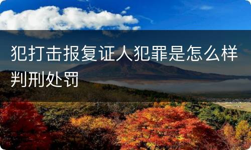 犯打击报复证人犯罪是怎么样判刑处罚