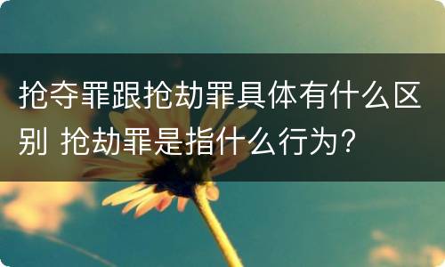 抢夺罪跟抢劫罪具体有什么区别 抢劫罪是指什么行为?