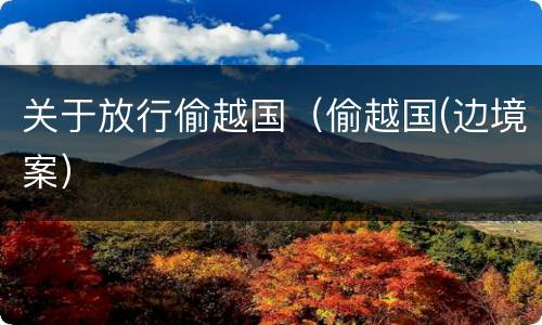 关于放行偷越国（偷越国(边境案）