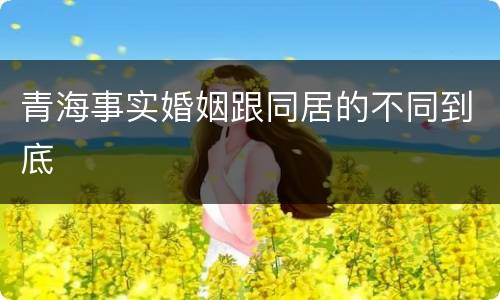 青海事实婚姻跟同居的不同到底
