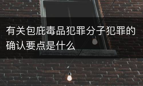 有关包庇毒品犯罪分子犯罪的确认要点是什么