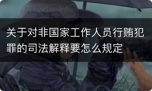 关于对非国家工作人员行贿犯罪的司法解释要怎么规定