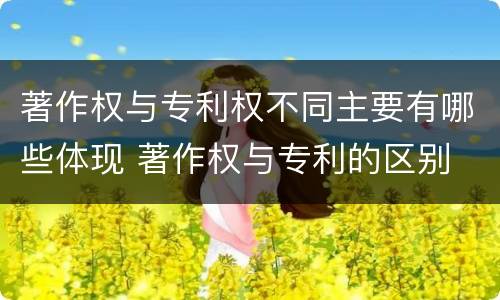 著作权与专利权不同主要有哪些体现 著作权与专利的区别