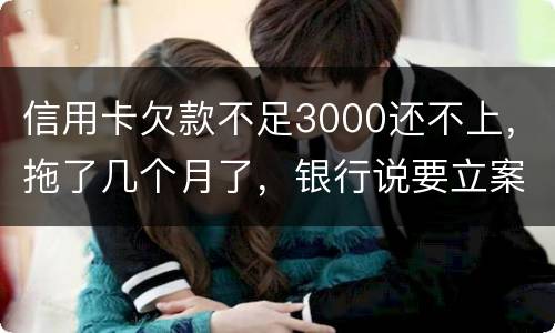 信用卡欠款不足3000还不上，拖了几个月了，银行说要立案，会坐牢吗