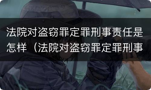 法院对盗窃罪定罪刑事责任是怎样（法院对盗窃罪定罪刑事责任是怎样规定的）
