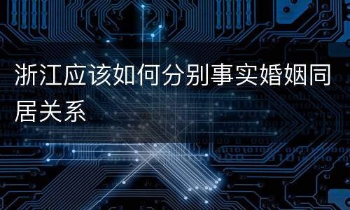 浙江应该如何分别事实婚姻同居关系