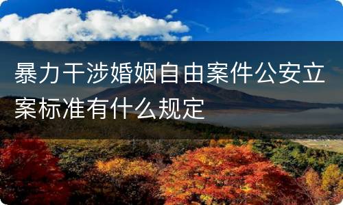 暴力干涉婚姻自由案件公安立案标准有什么规定