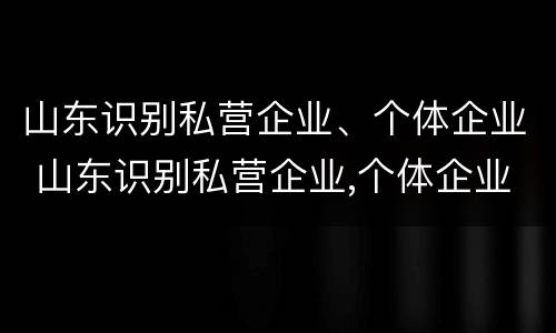 山东识别私营企业、个体企业 山东识别私营企业,个体企业是什么