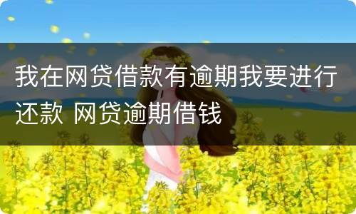 我在网贷借款有逾期我要进行还款 网贷逾期借钱