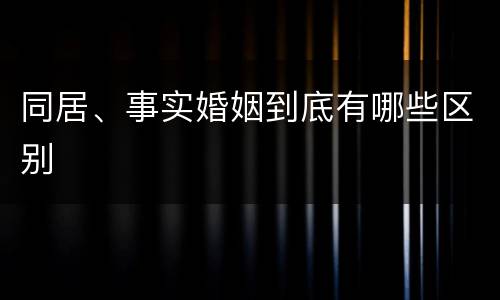 同居、事实婚姻到底有哪些区别